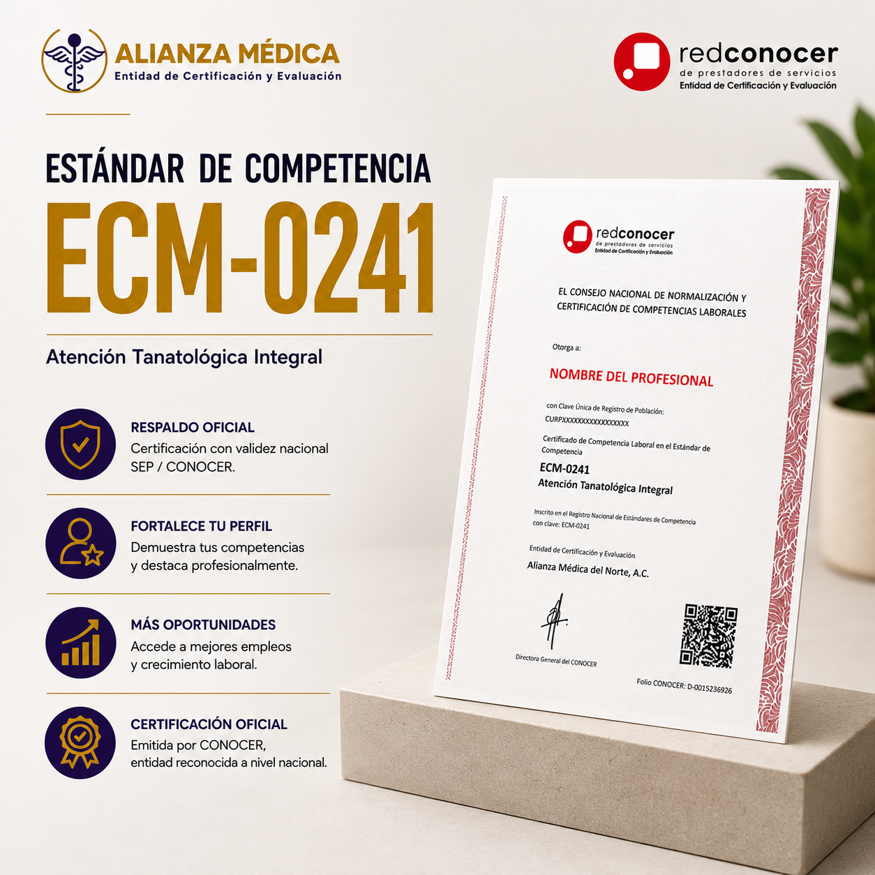 ECM-0241 Atención Tanatológica Integral